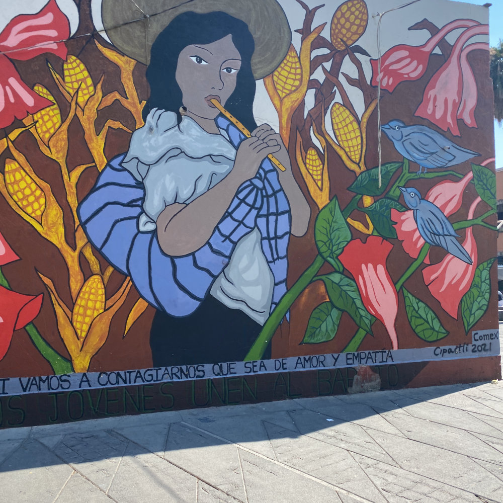 mural in Centro by artist unknown.