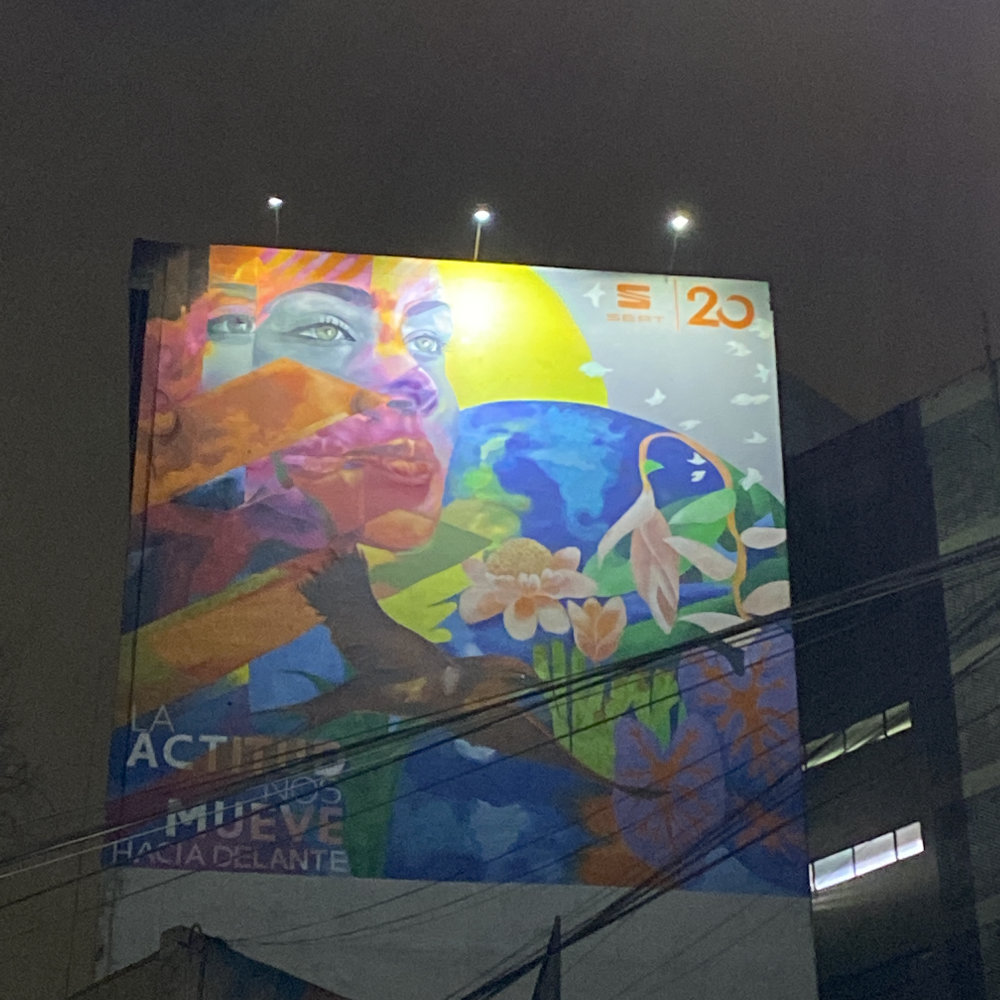 mural in Ciudad de México by artist unknown.