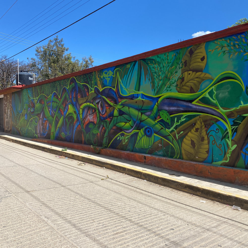 mural in Santa Cruz Xoxocotlán by artist unknown.