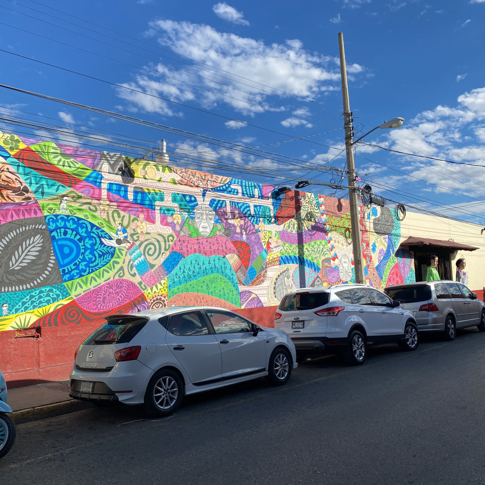 mural in Oaxaca de Juárez by artist unknown.