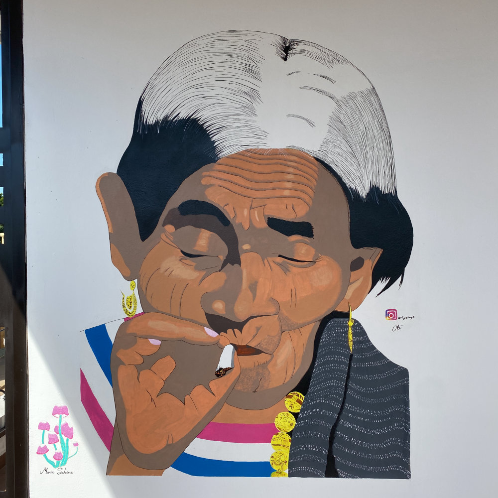 mural in Oaxaca de Juárez by artist unknown.