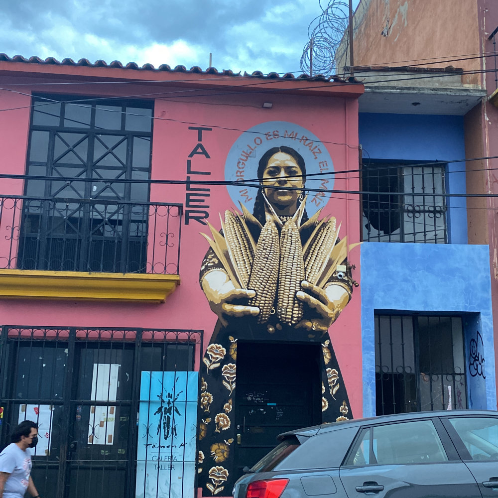 mural in Oaxaca de Juárez by artist unknown.