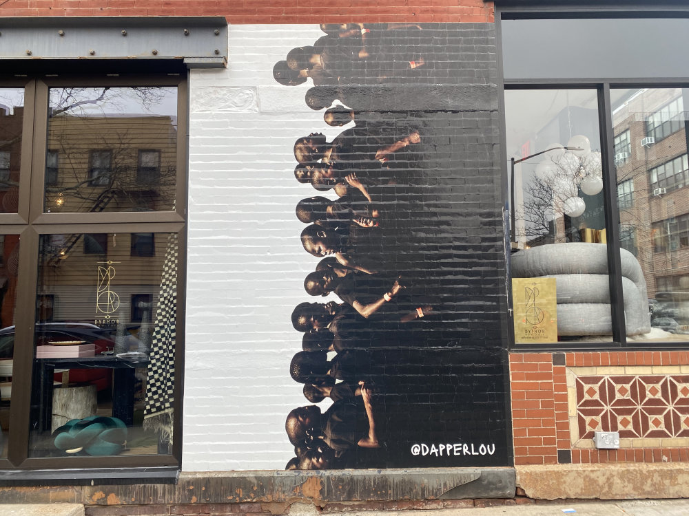 mural in Brooklyn by artist Lougè.