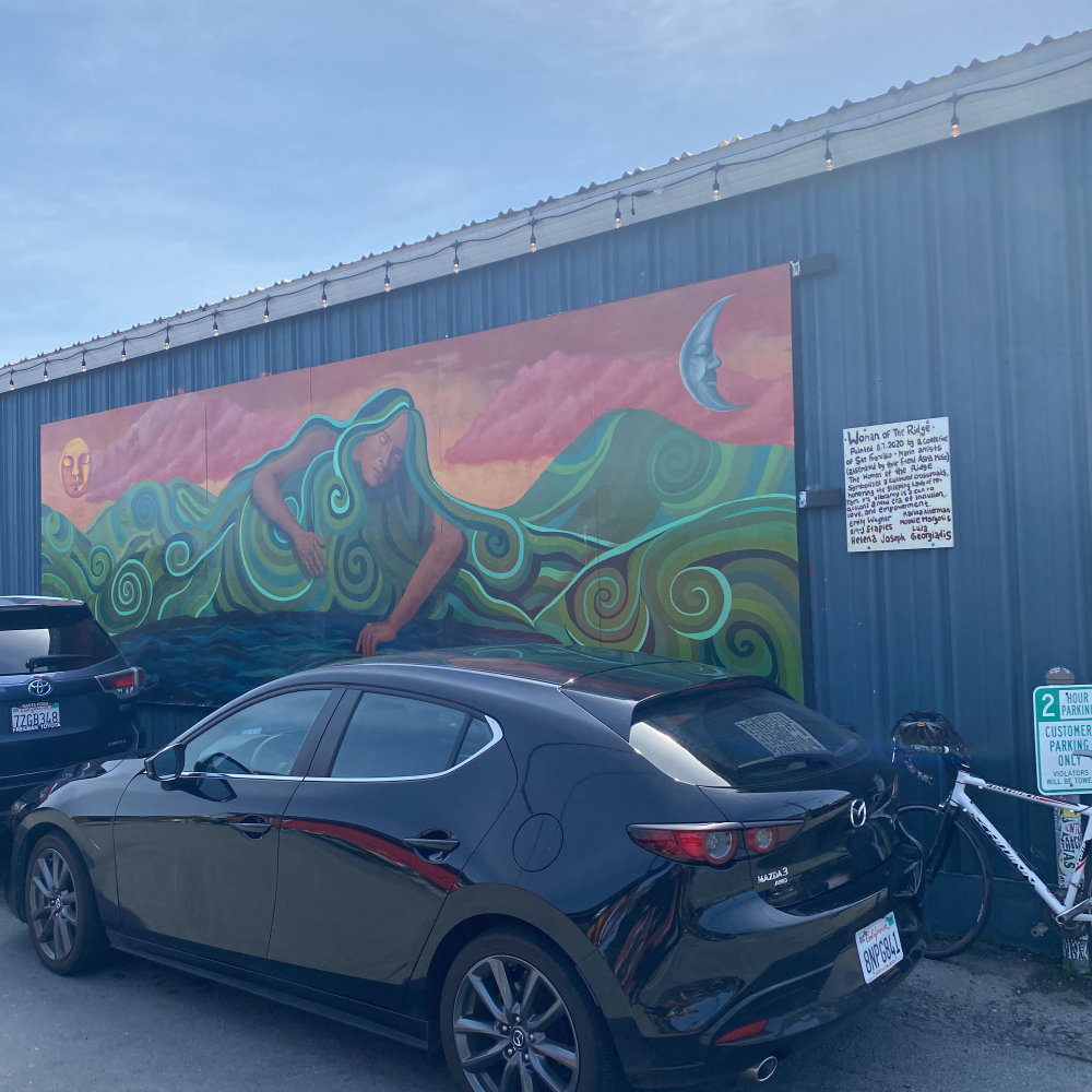 mural in Mill Valley by artist unknown.