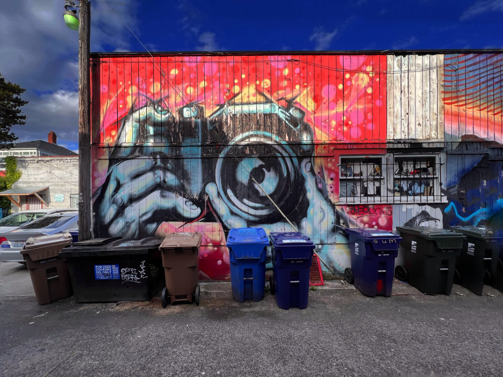 mural in Tacoma by artist unknown.