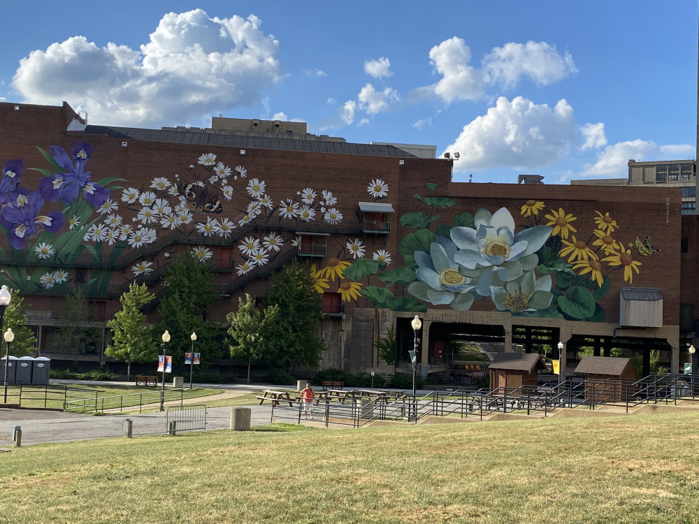 mural in Akron by artist unknown.