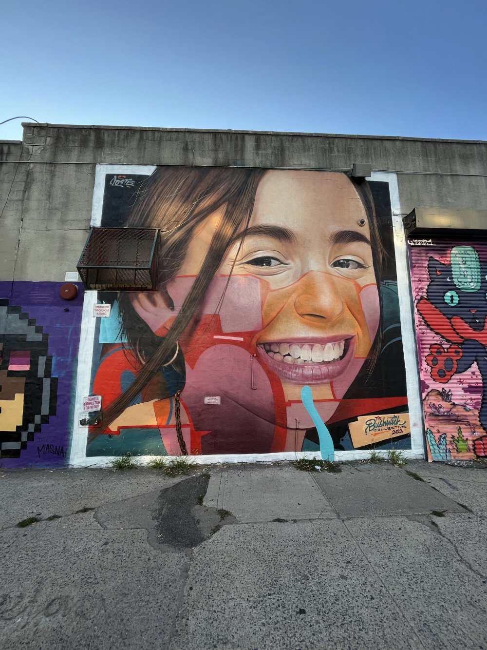mural in Brooklyn by artist Rosk & Loste.