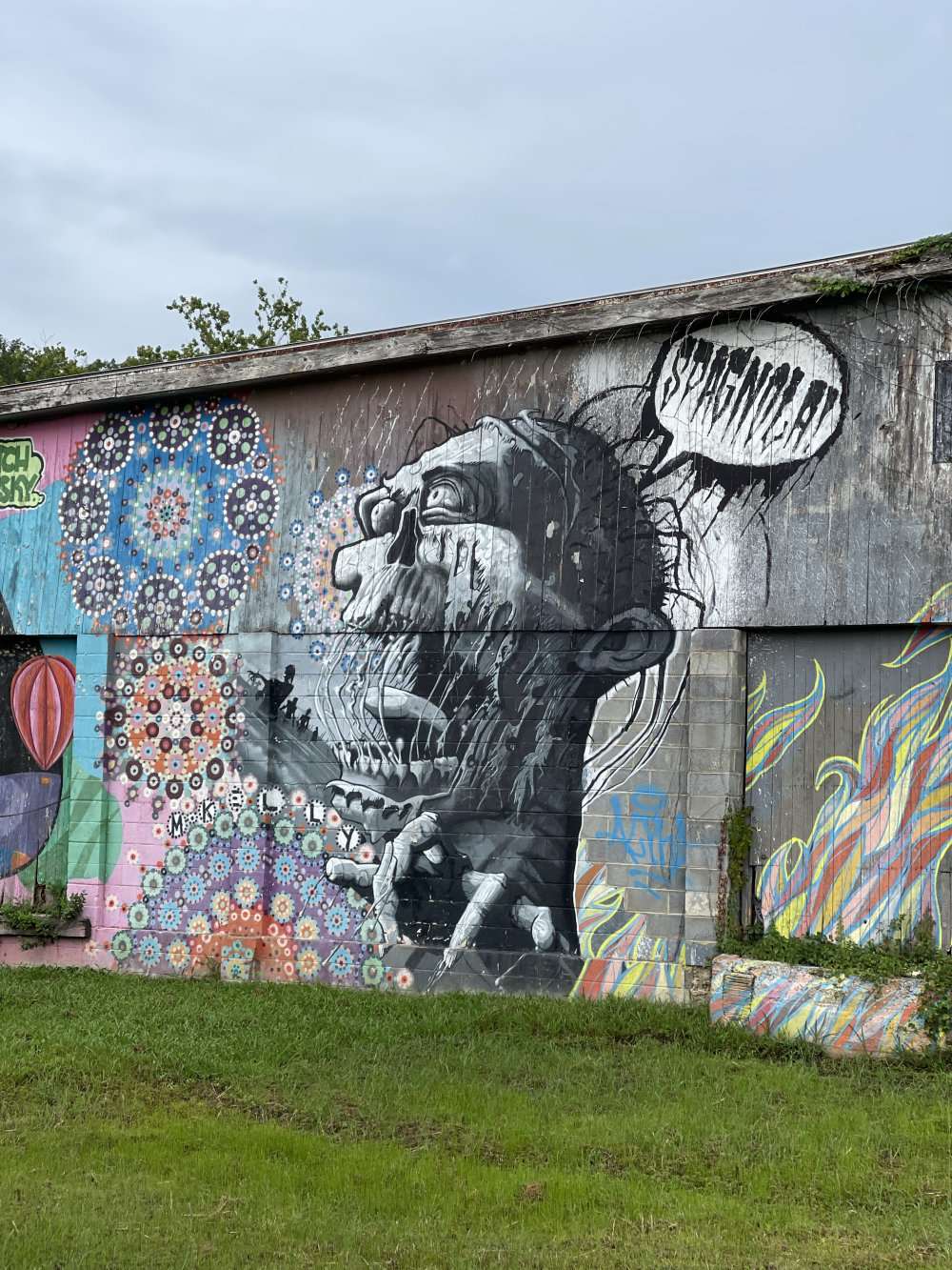 mural in Asheville by artist unknown.