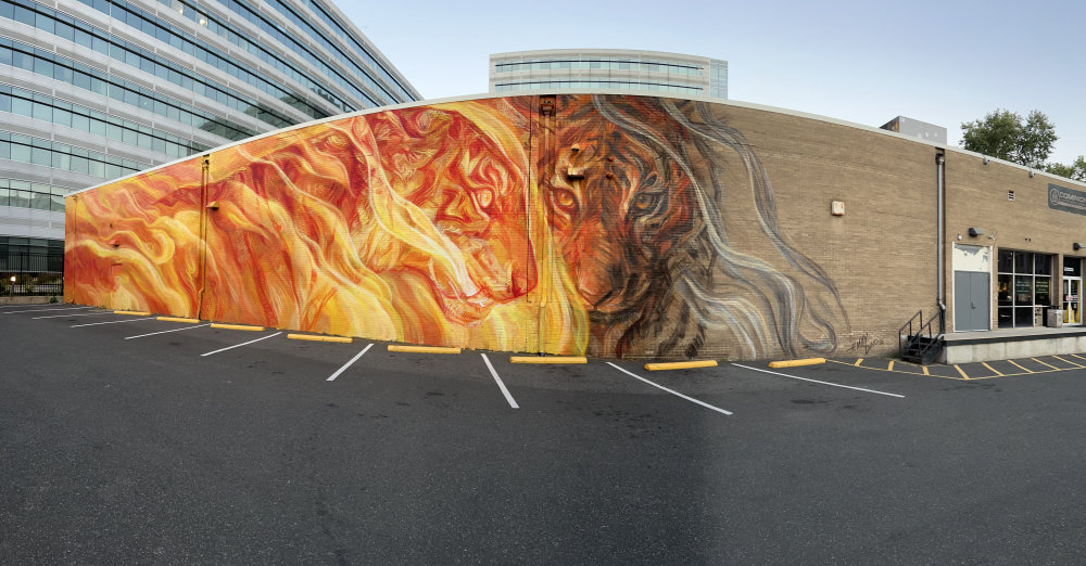 mural in Washington by artist Emily Ding.