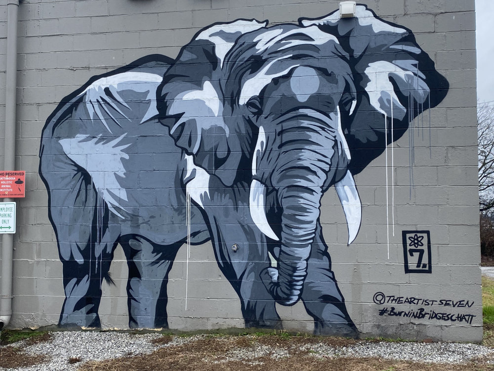 mural in Chattanooga by artist Seven.
