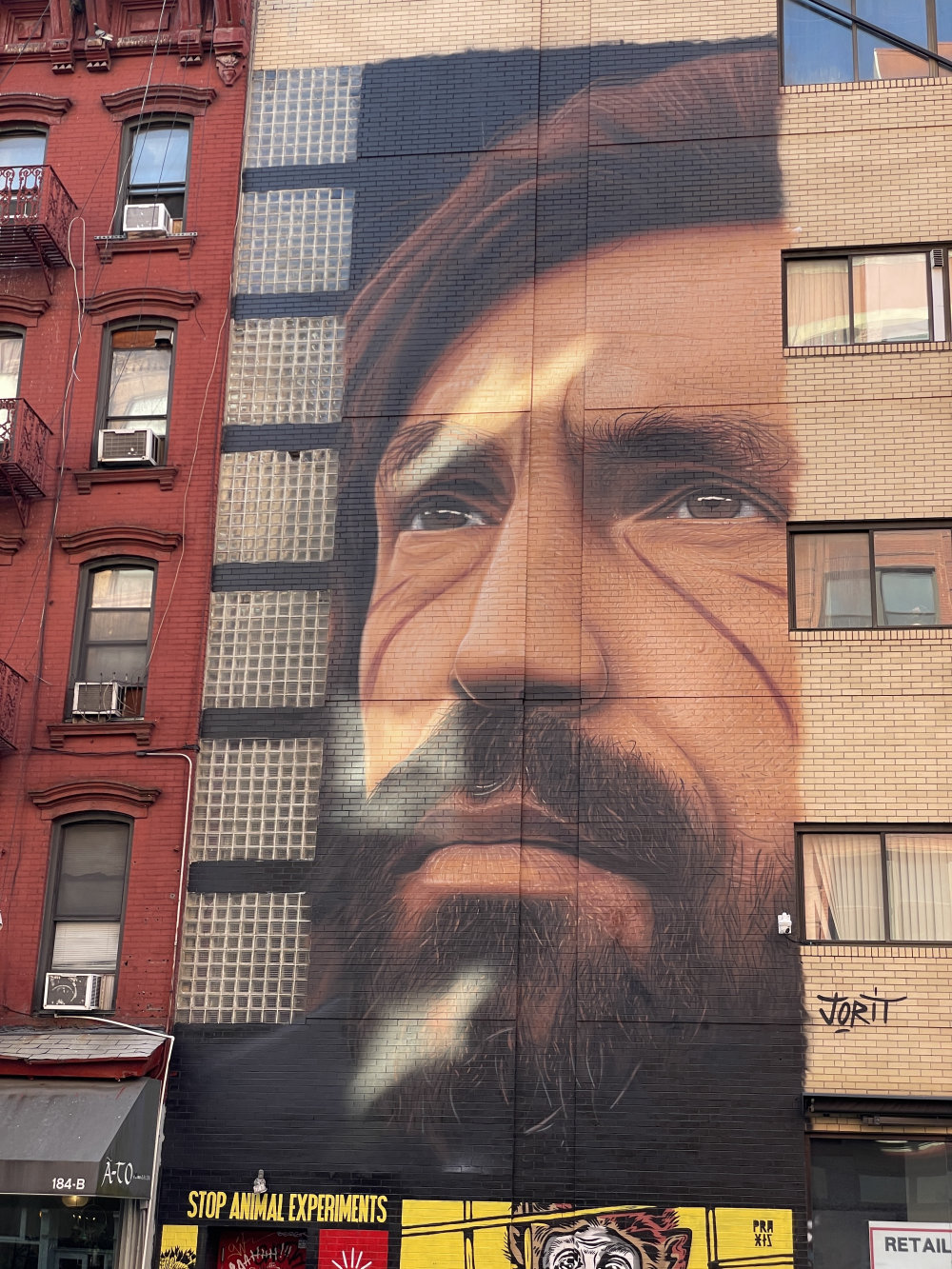 mural in New York by artist Jorit Agoch.
