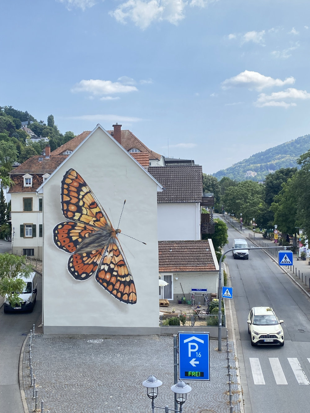 mural in Heidelberg by artist Mantra.