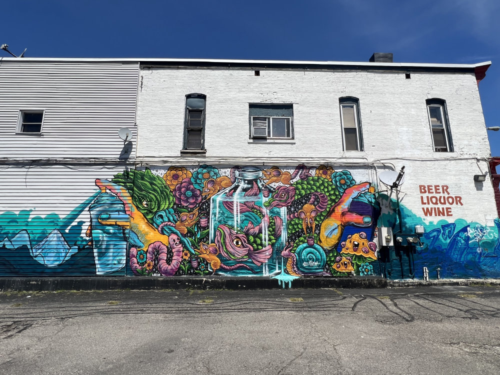 mural in Grand Rapids by artist Elliot Chaltry.