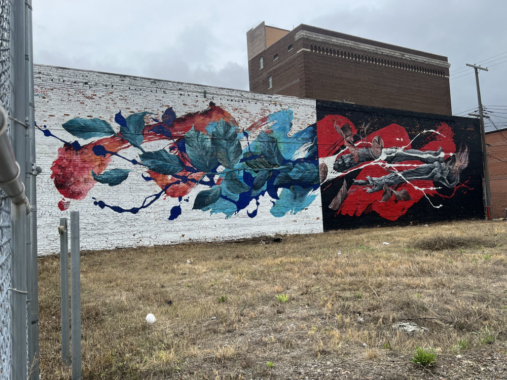mural in Detroit by artist MEGGS.