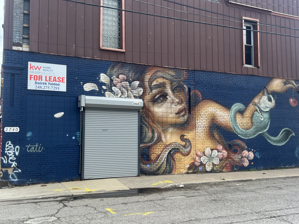 mural in Detroit by artist Tatiana Suarez.