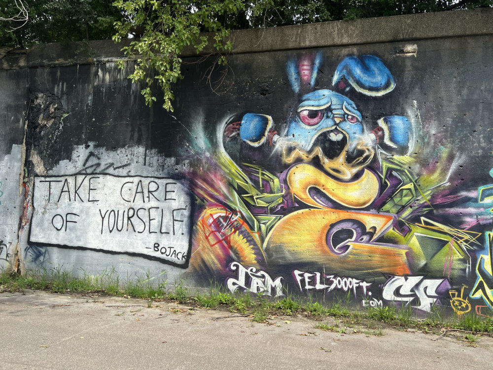 mural in Detroit by artist Fel3000ft.