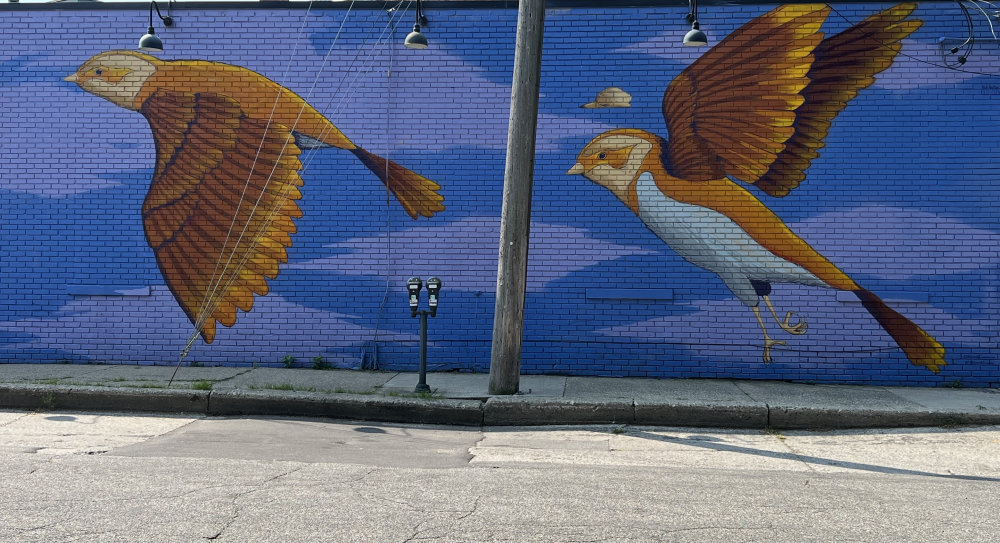 mural in Grand Rapids by artist Nick Nortier.