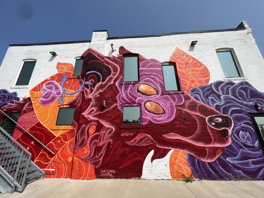 mural in Kansas City by artist Suburban Warrior.
